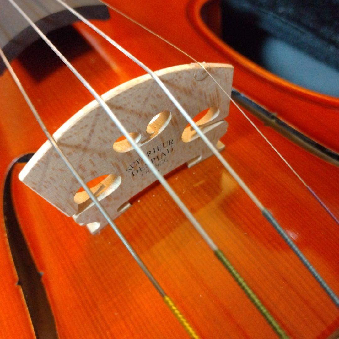 ✨️極美品✨️ Andreas Eastman VL80 4/4 バイオリン