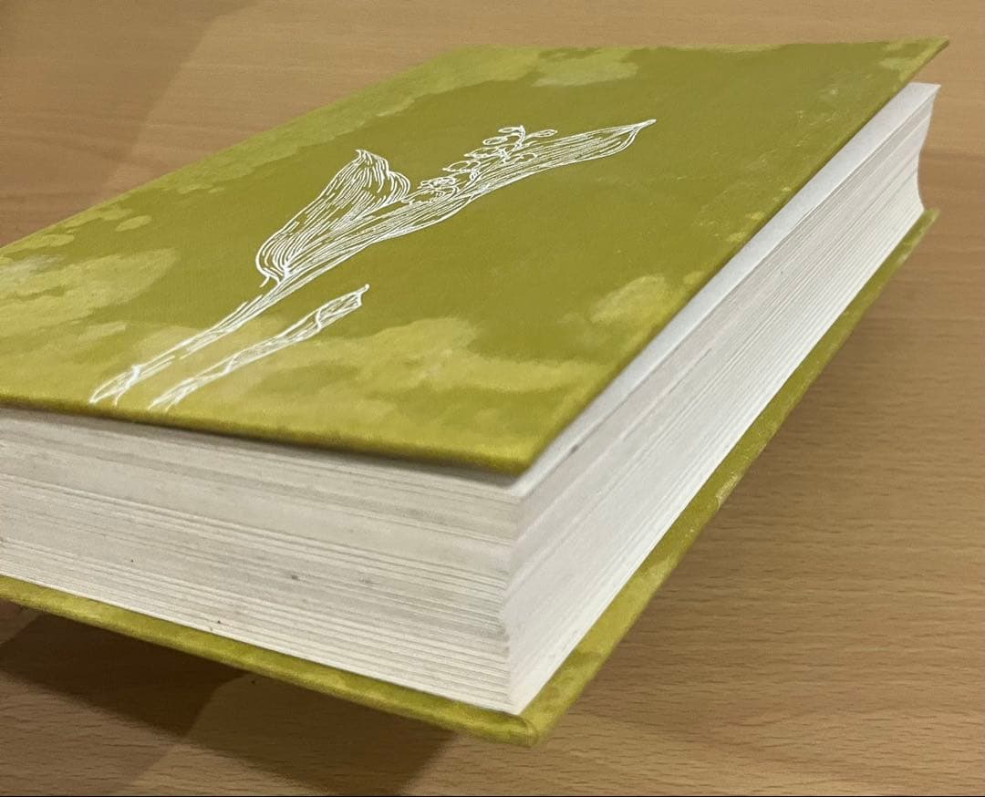 NO.248 古書 洋書 絵本 ドイツ植物図鑑　ボタニカルアート 野花