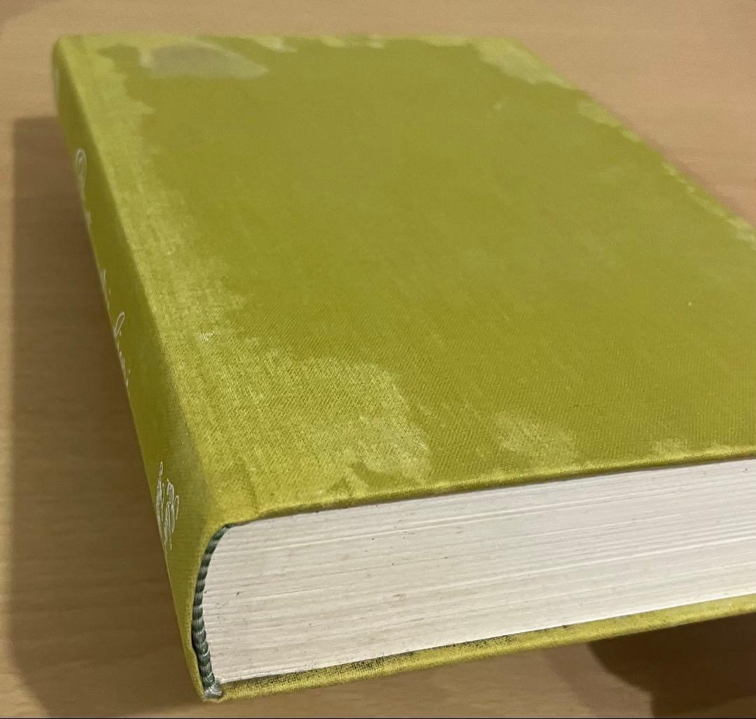 NO.248 古書 洋書 絵本 ドイツ植物図鑑　ボタニカルアート 野花