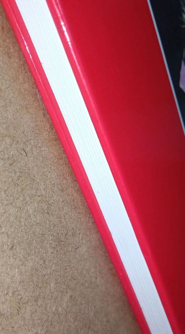 洋書 Bizarre Sinema!