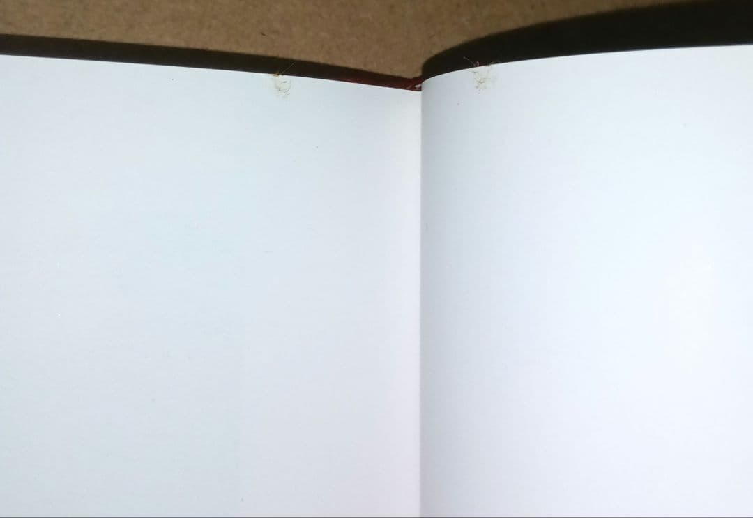 洋書 Bizarre Sinema!