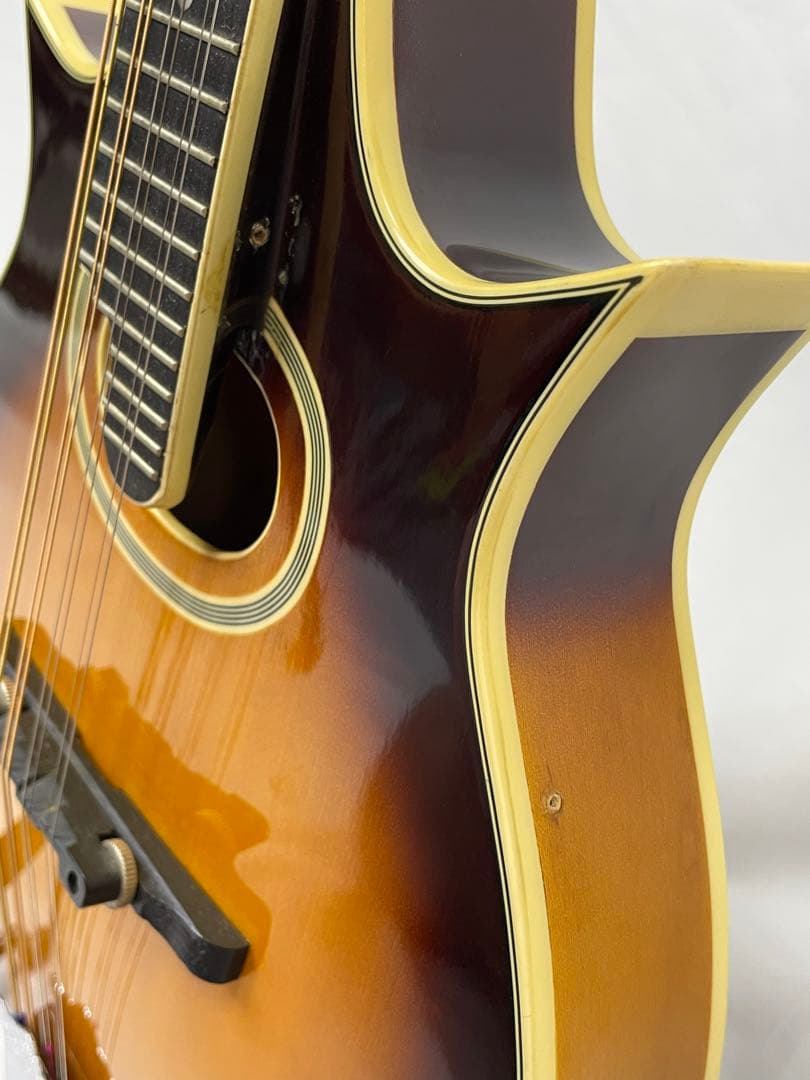 ARIA/アリア フラットマンドリン AM300 ジャパンビンテージ