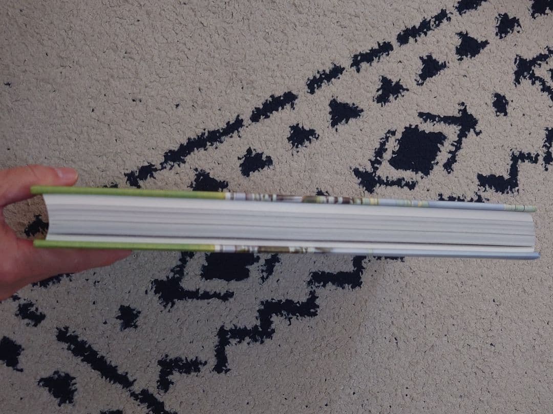 極美品　ヴァンジ彫刻庭園美術館　作品集　大判　32cm×26cm 厚3.5cm