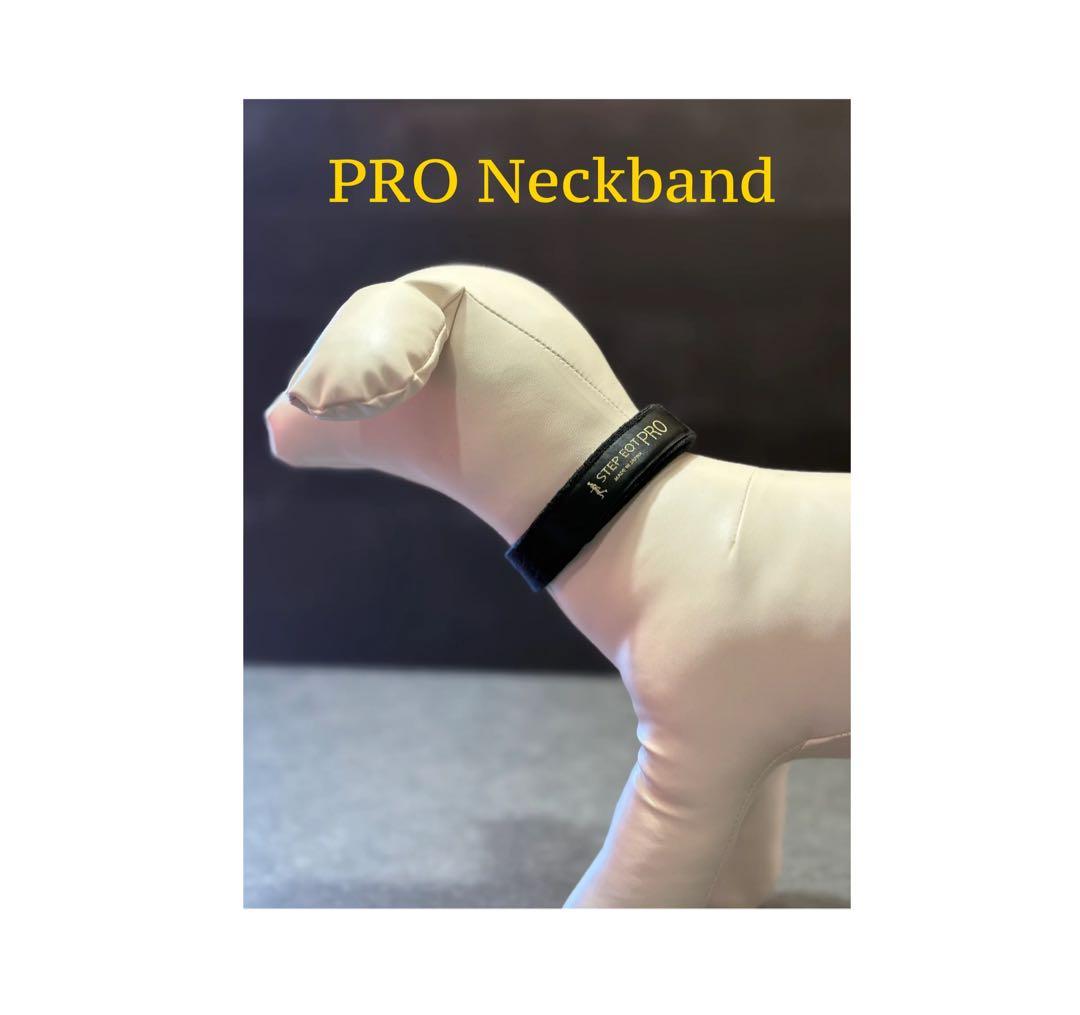 STEP EQT犬用ネックバンド・アンクルバンドセット