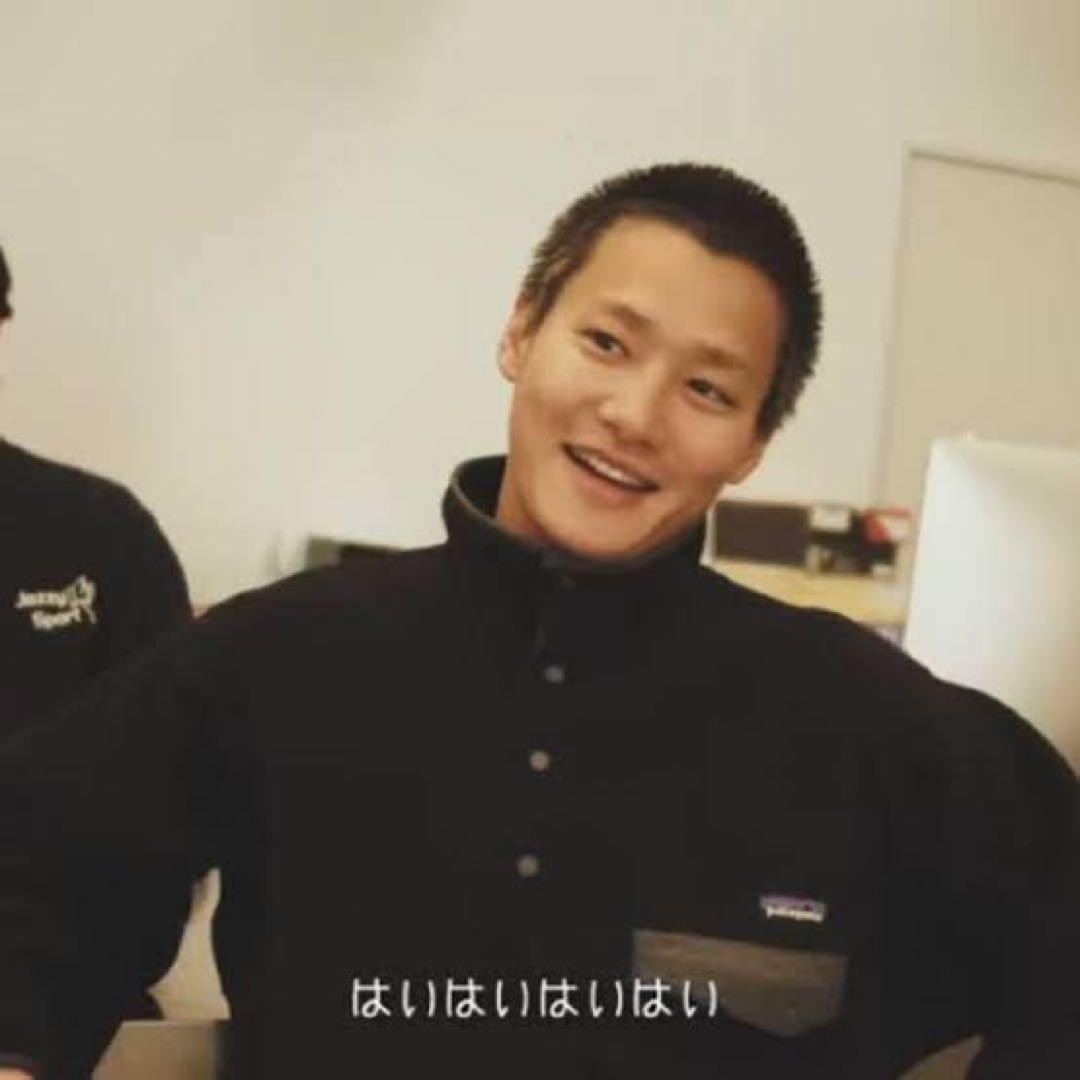 肉厚 L 極美品 野村周平 Patagonia シンチラ パタゴニア スナップT