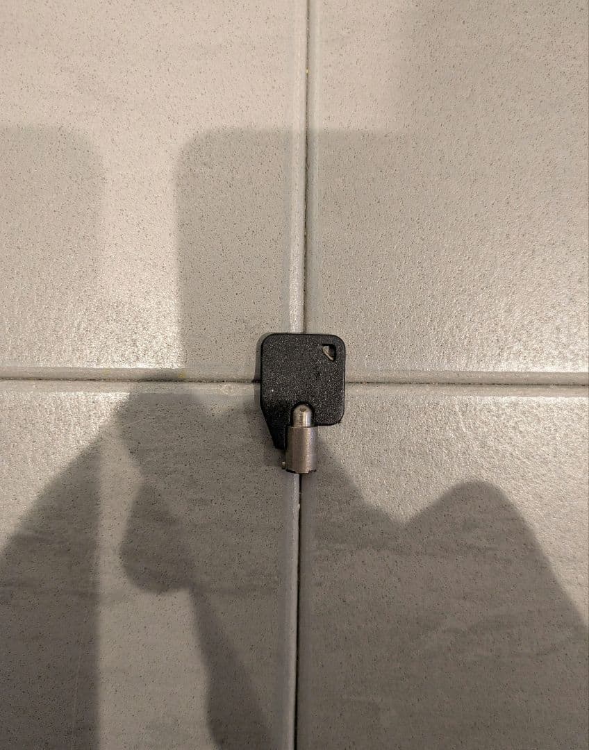 Thule Yepp Mini 前乗せ用 自転車用チャイルドシート ブラック