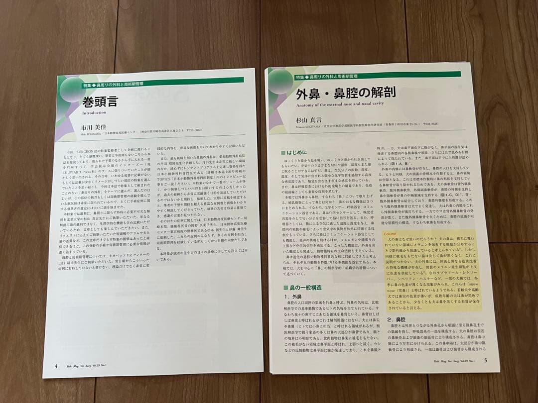 【裁断済み】SURGEON 167, 168, 169 3冊セット