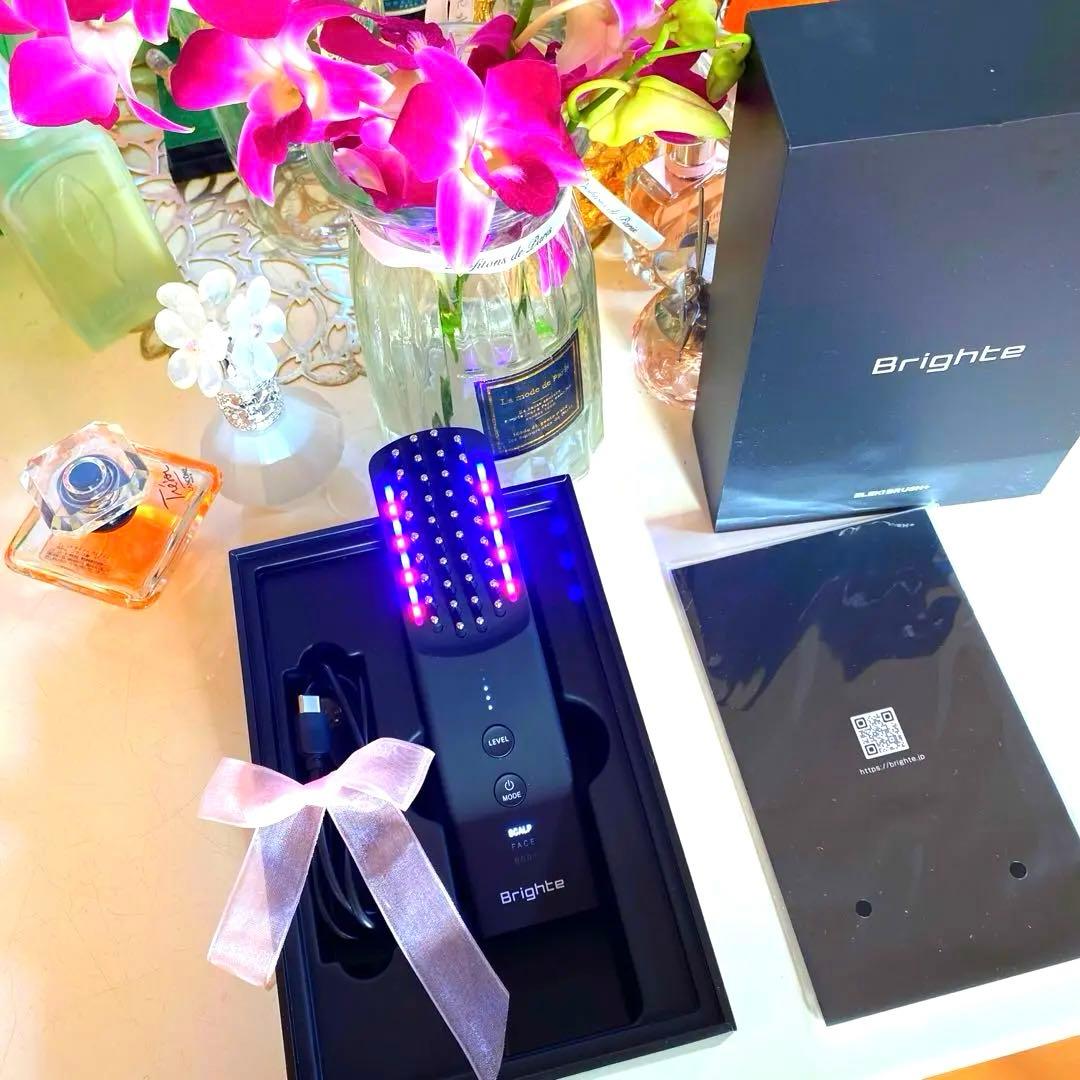 最新版　美品　ブライト　エレキブラシプラス