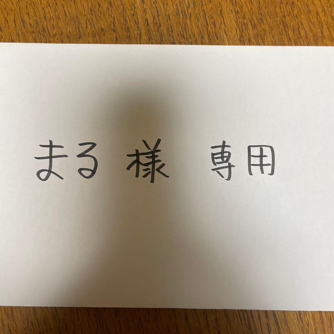 【希少】九谷焼　ヤモリの置物 木箱付き