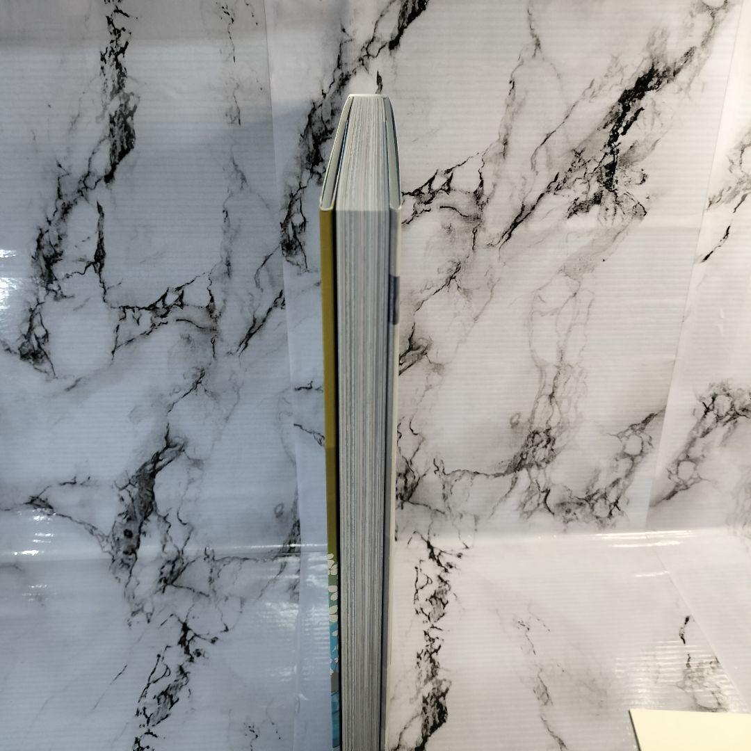 大暮維人　画集　「&Blast」　「Sky&」　 特典　イラストカード付き