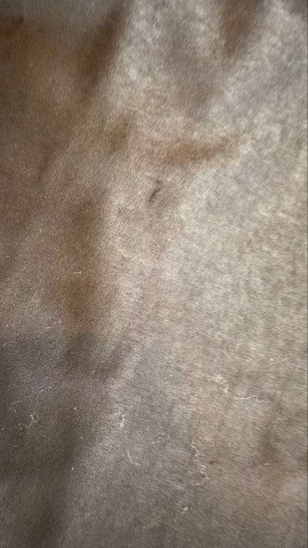 スーツ・フォーマル・ドレス Und Renee Cutwork Dress