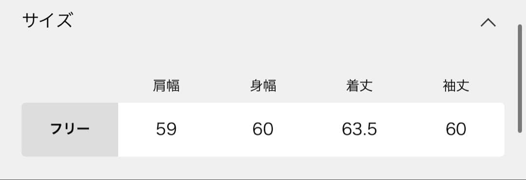 FRAMeWORK Champion別注製品REVERSE WEAVEポケット