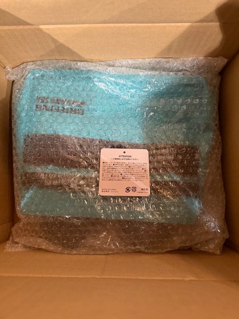 BRIEFING WIND AND SEA コラボ　カートバック　新品未使用