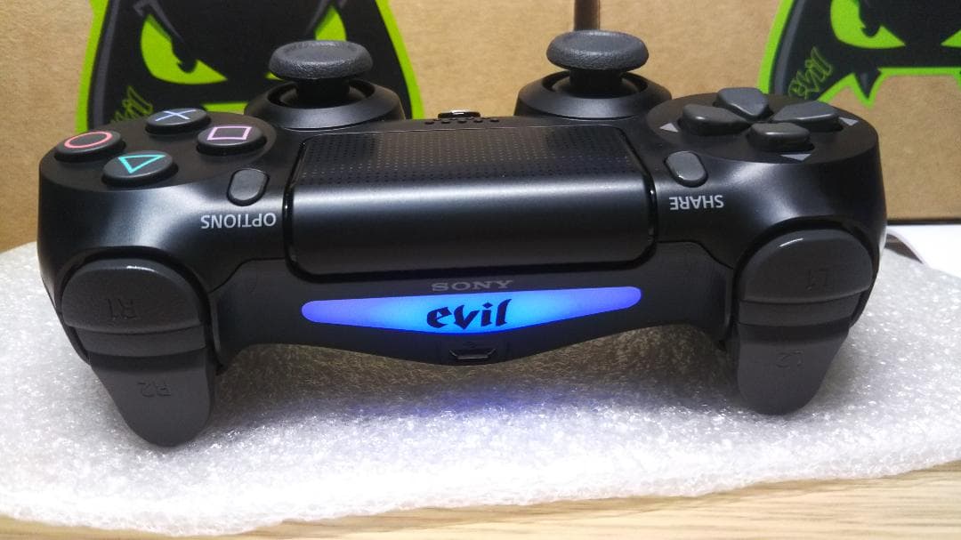 Evil controller エビル コントローラー パドルタイプ