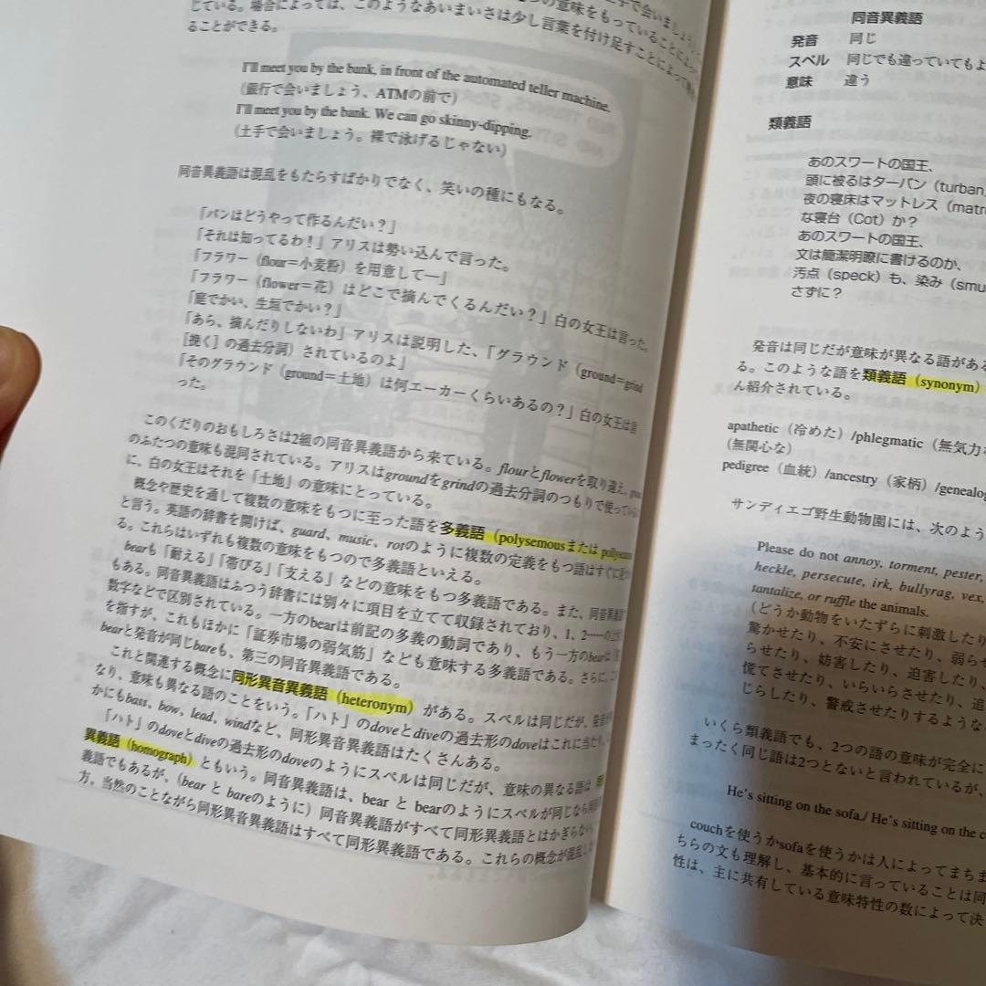 フロムキンの言語学