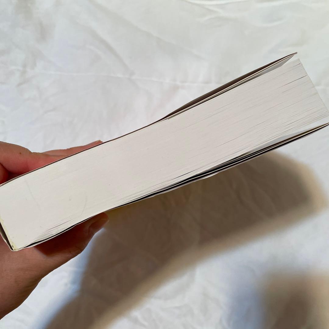 フロムキンの言語学