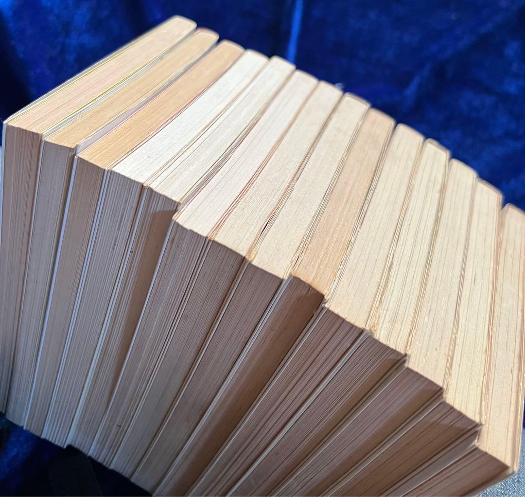 【立風書房】小さな恋のものがたり×14冊 / みつはしちかこ