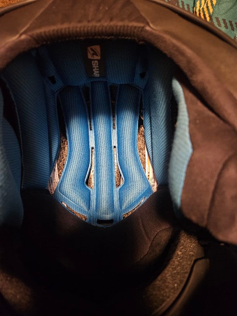 極美品 SHARK DRAK（シャーク ダラク）Lサイズ 布袋付 使用少