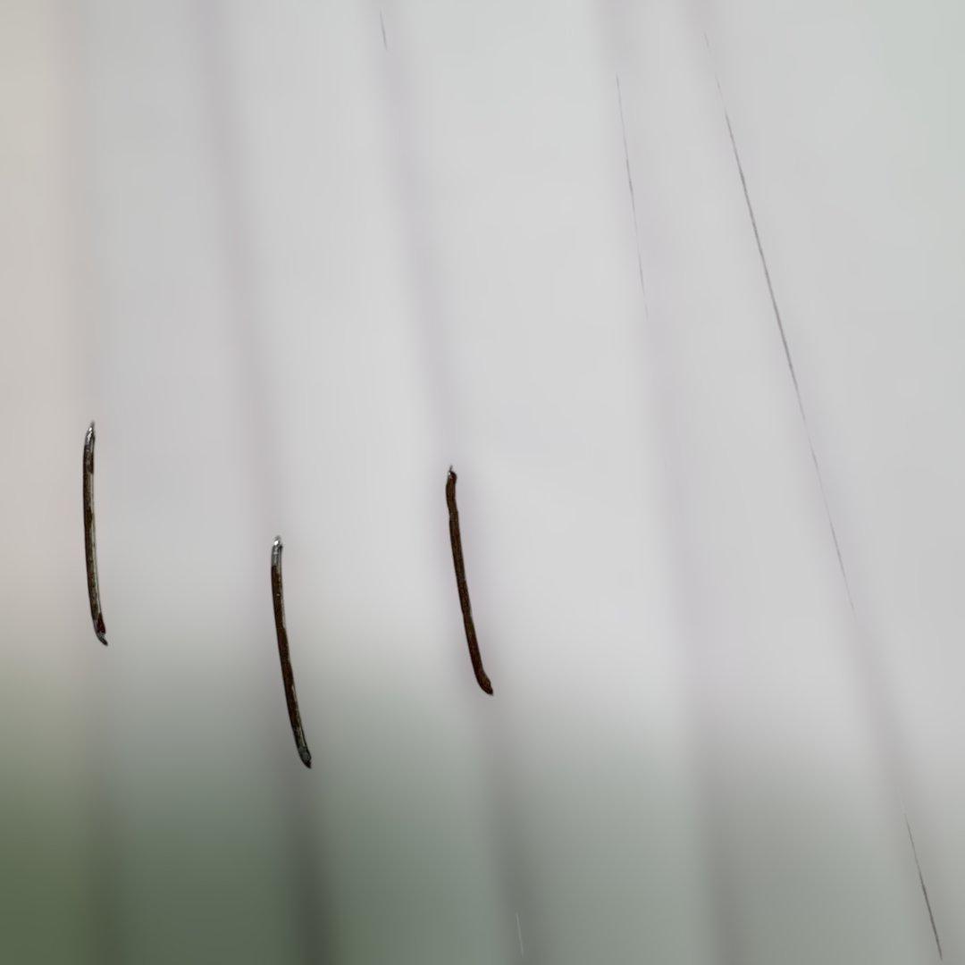 【輸入楽譜】コラ・ブルニョン序曲 吹奏楽 フルスコアとパートスコアのセット