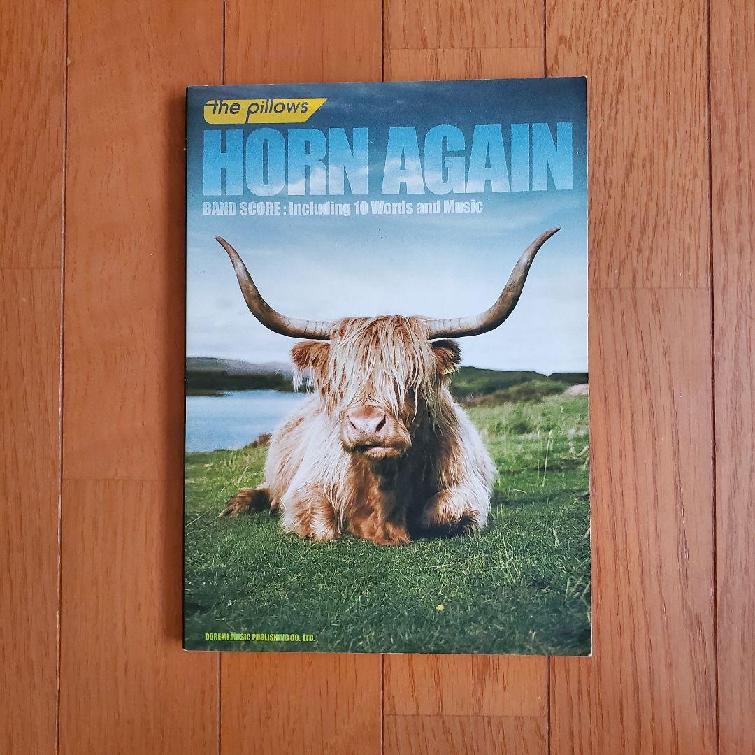 【希少 絶版 最終価格】The Pillows バンドスコア 5冊セット