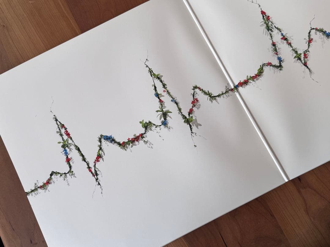 星野源　アナログ　レコード　『POP VIRUS』