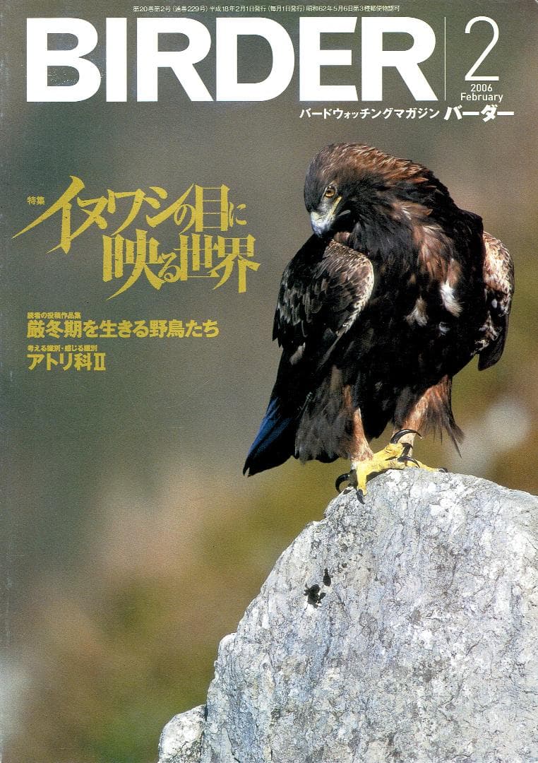 BIRDER (バ ーダ ー) 2006年02月号
