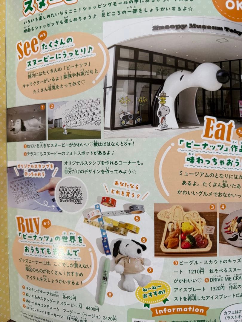 ね〜ね〜　2025年　夏号　ねーねー