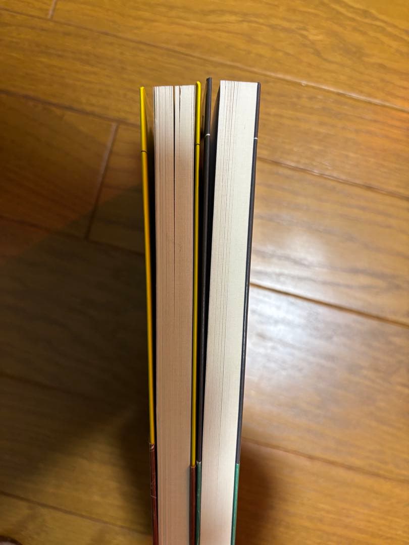 有坂誠人の例の方法 2点セット