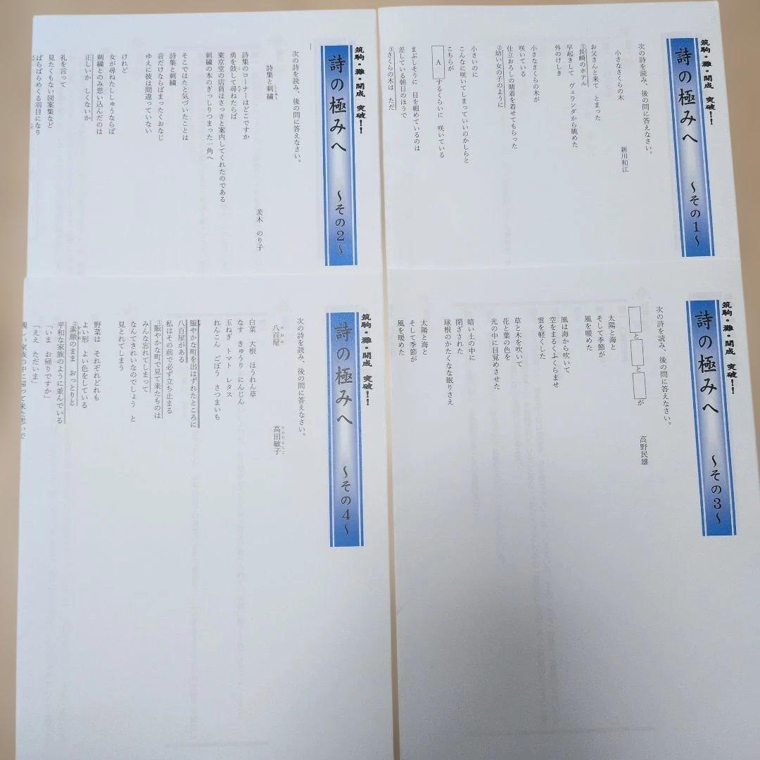 ［超貴重］中学受験筑駒必須　詩の極みへシリーズ14問