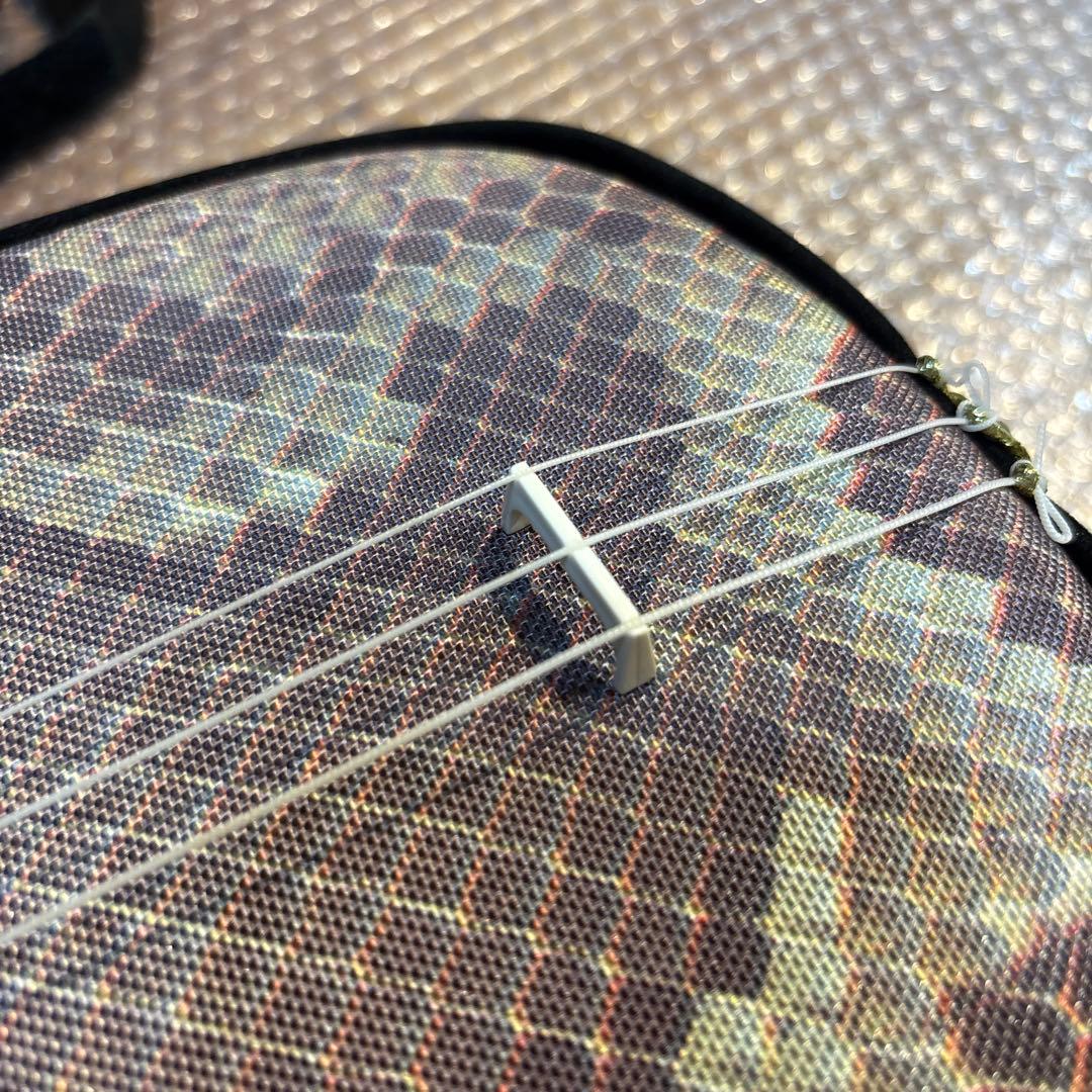 沖縄三線　三線　リュックケース付き　合皮　人工皮　蛇柄　三味線