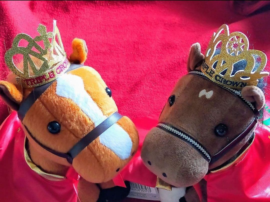 ②◆　競馬　JRA　◆　ディープインパクト　オルフェーヴル　◆アイドルホース２種