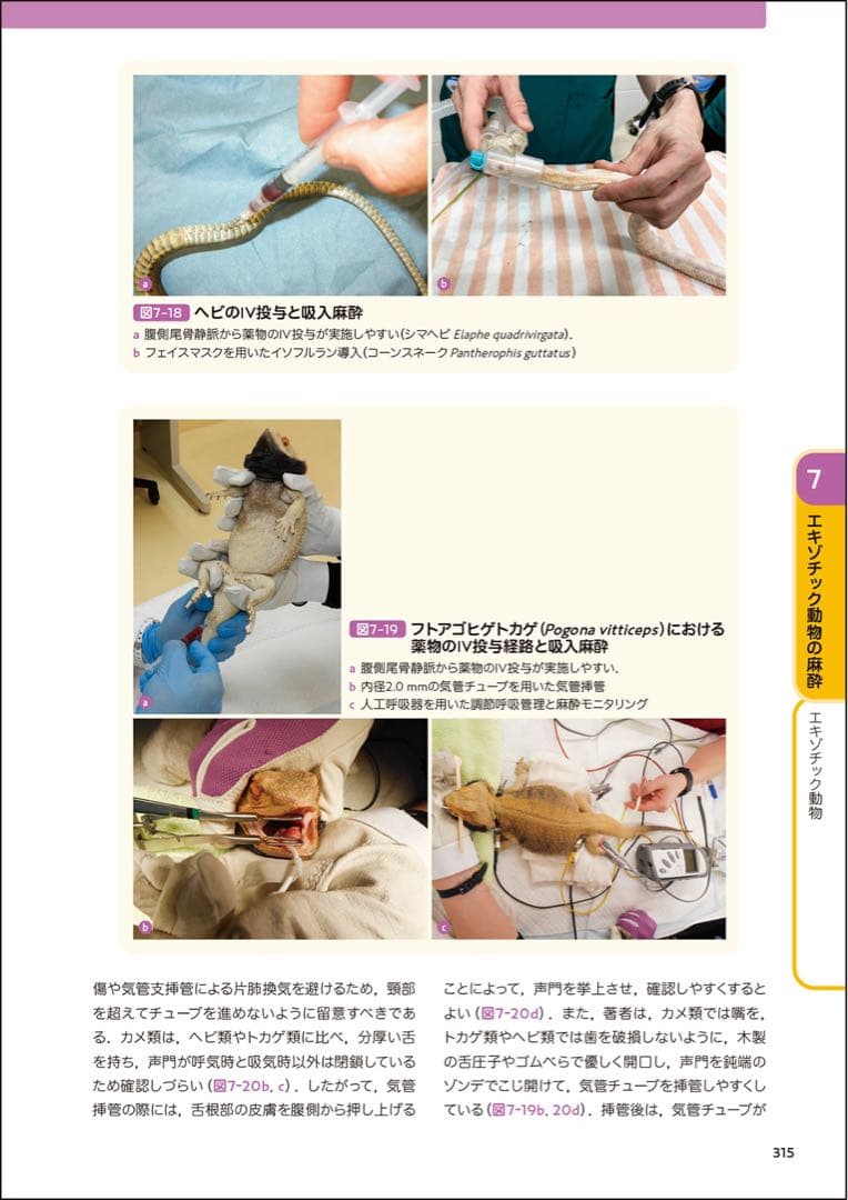 犬と猫とエキゾチック動物の臨床麻酔・疼痛管理学