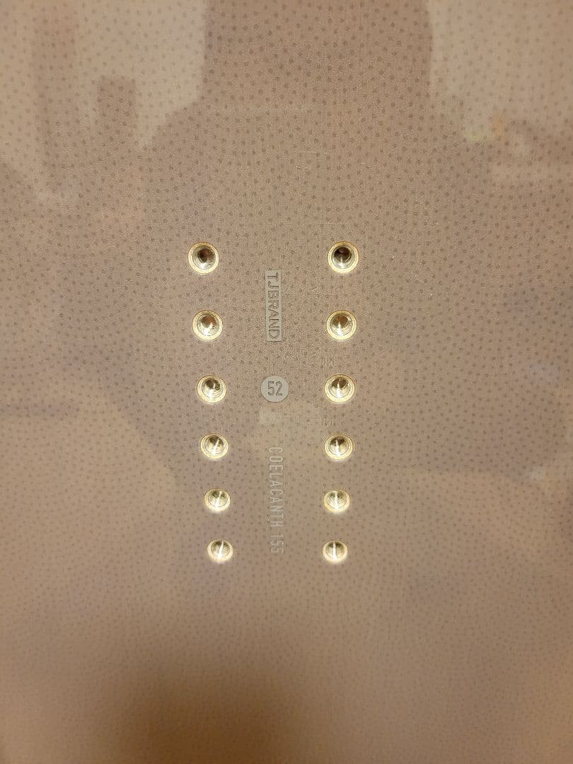 スノーボード TJ-BRAND COELACANTH 155