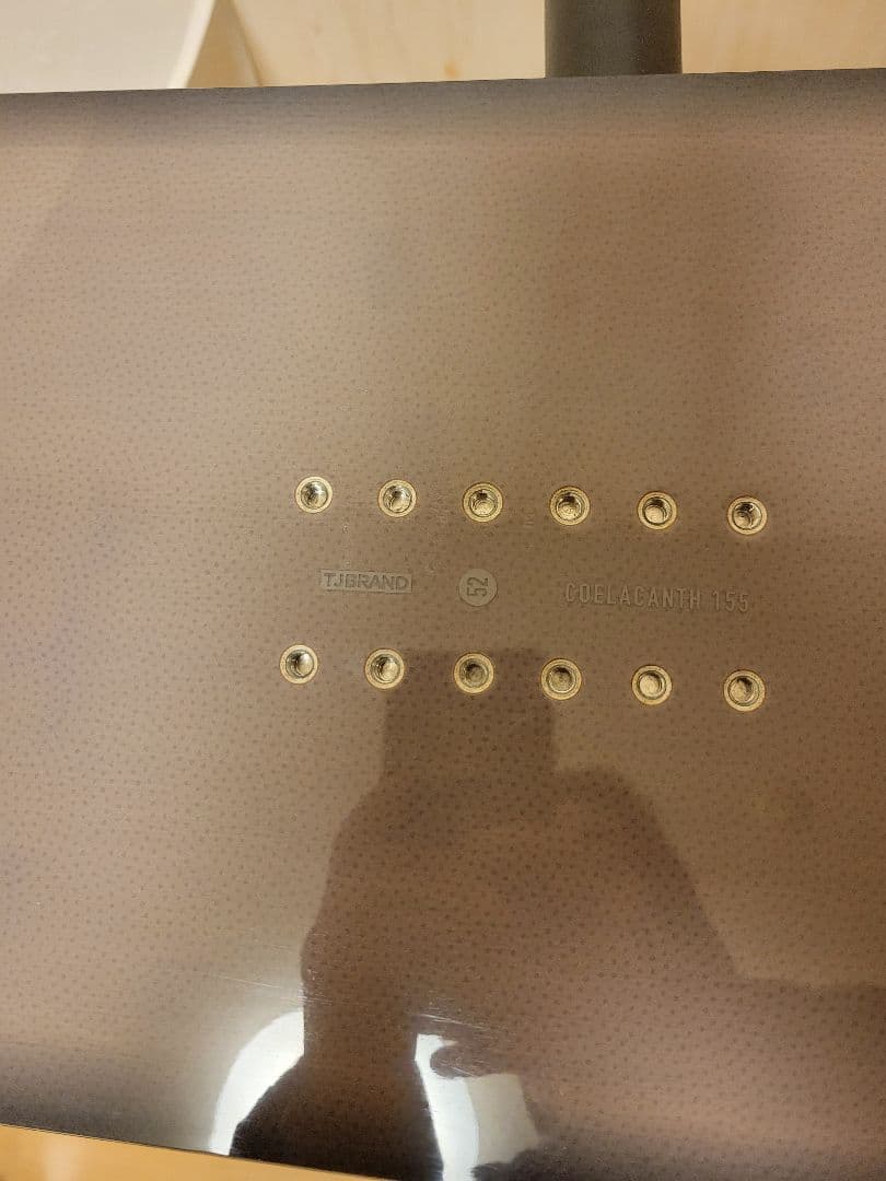 スノーボード TJ-BRAND COELACANTH 155