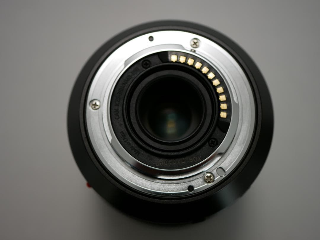 レンズ(ズーム) leica vario-elmarit 12-60mm f2.8-4.0