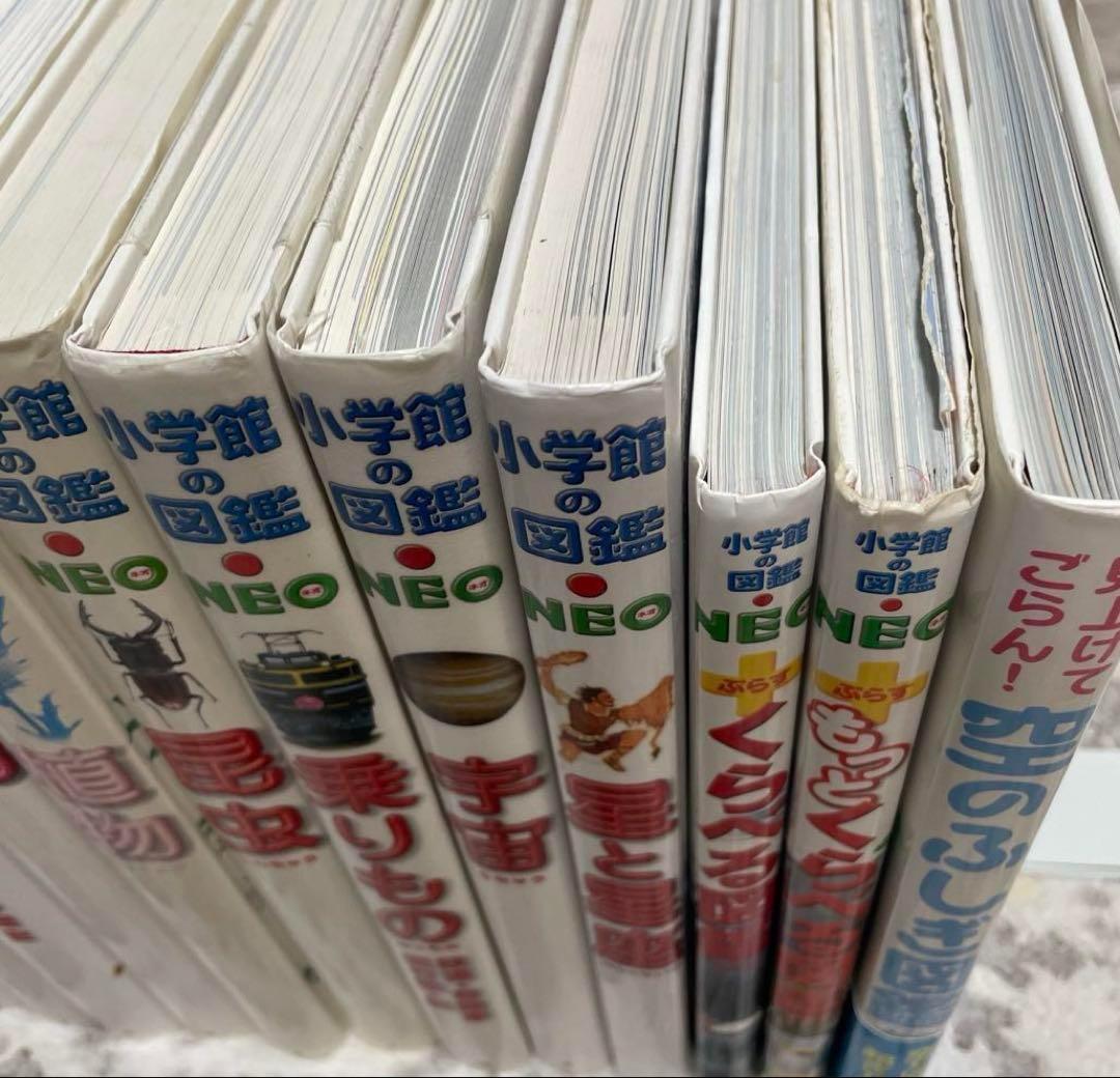 本日限定価格　プレneo 小学館の図鑑neo 空のふしぎ図鑑　19冊　セット