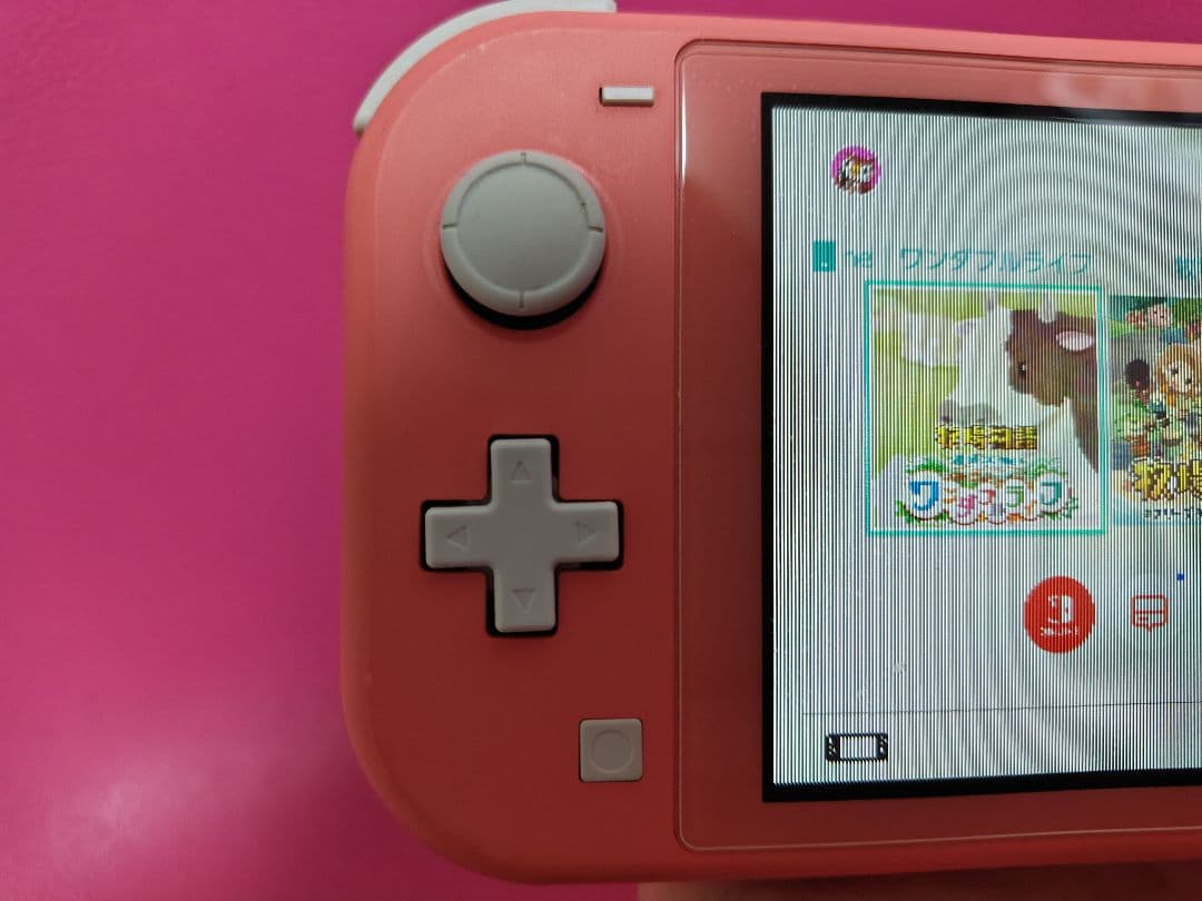 【ジャンク】Nintendo Switch Lite コーラル【ジャンク】