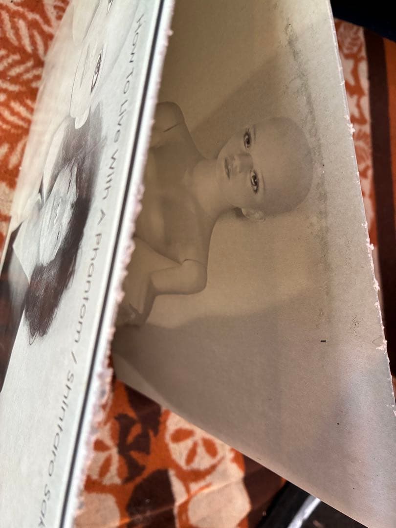 坂本慎太郎　レコード How To Live With A Phantom