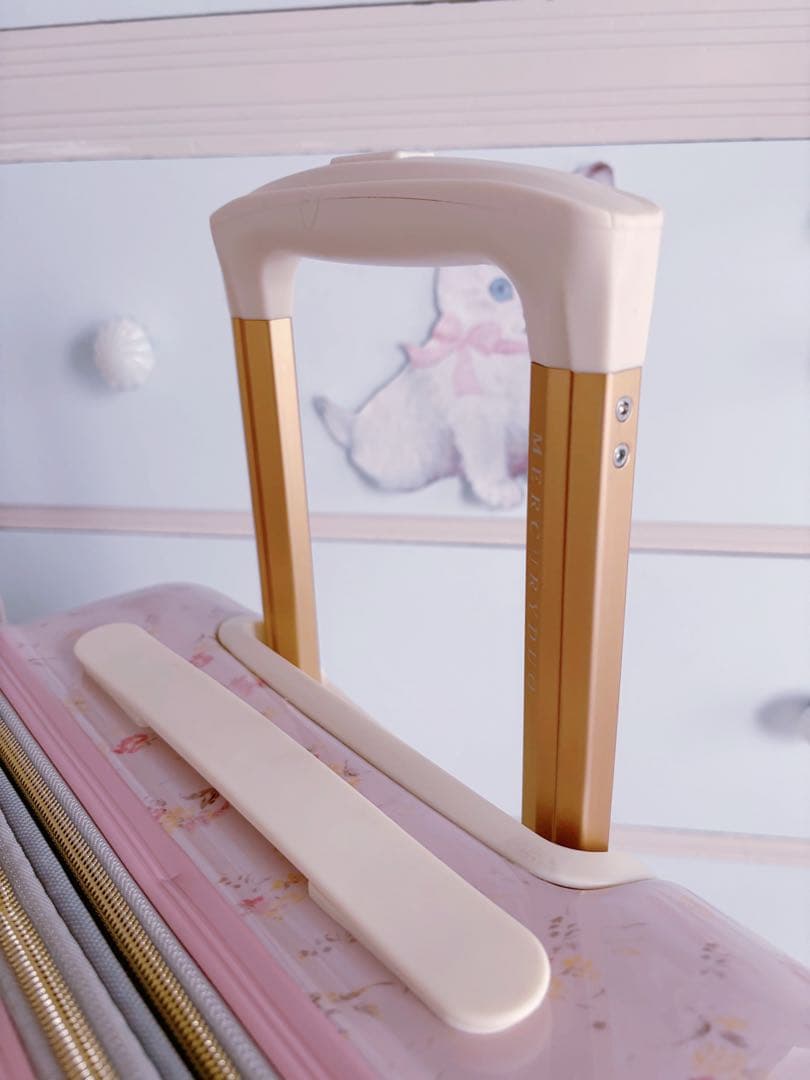 新品　MERCURYDUO マーキュリーデュオ　キャリーケース