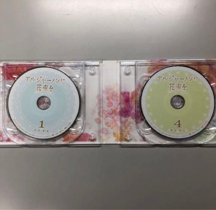 アルジャーノンに花束を DVD BOX【山下智久】☆