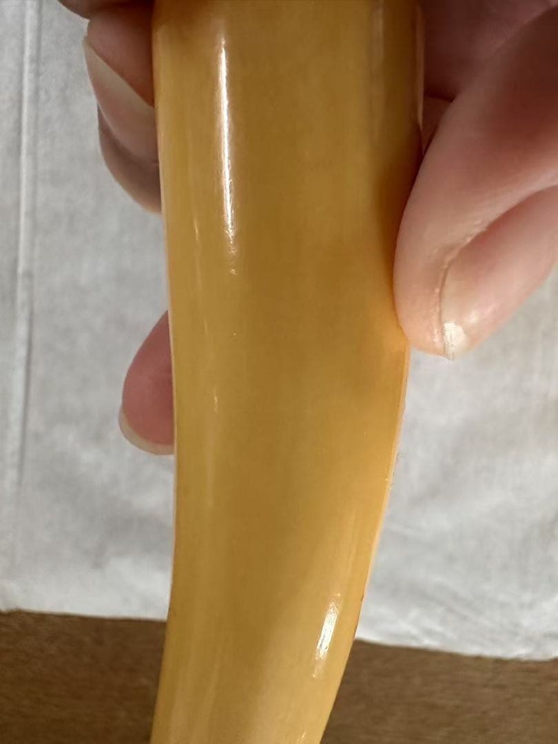 鯨歯 マッコウ鯨 牙 パイプ キセル 特大 56グラム