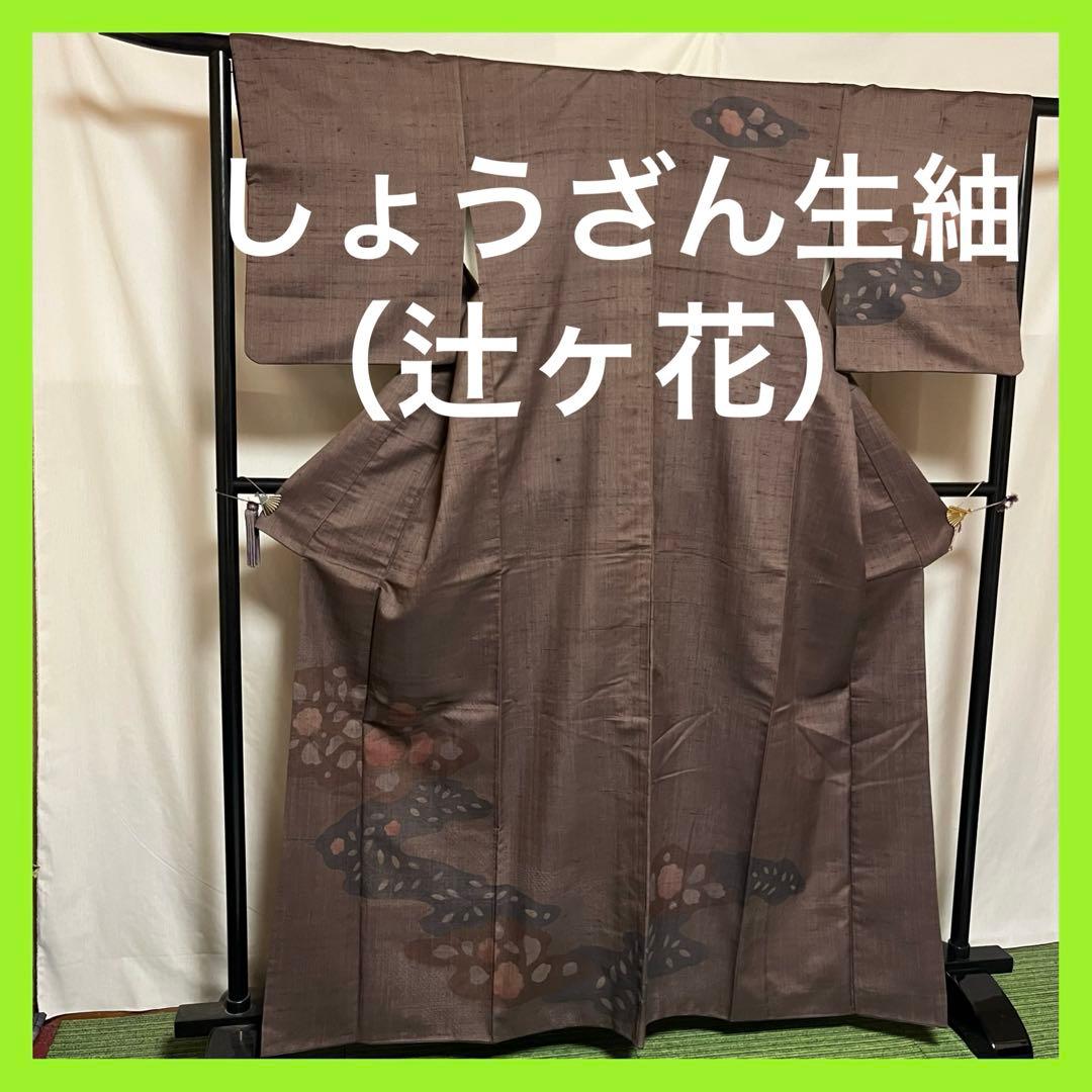 ☘️早い者勝ち☘️【国宝品】●しょうざん生紬●草木染●紬●着物