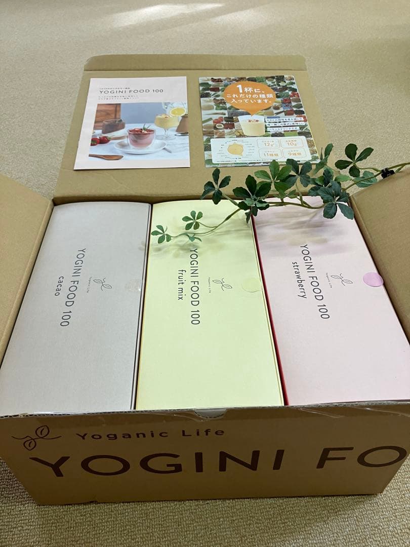 YOGINI FOOD 100 (フルーツミックス・ストロベリー・カカオ)