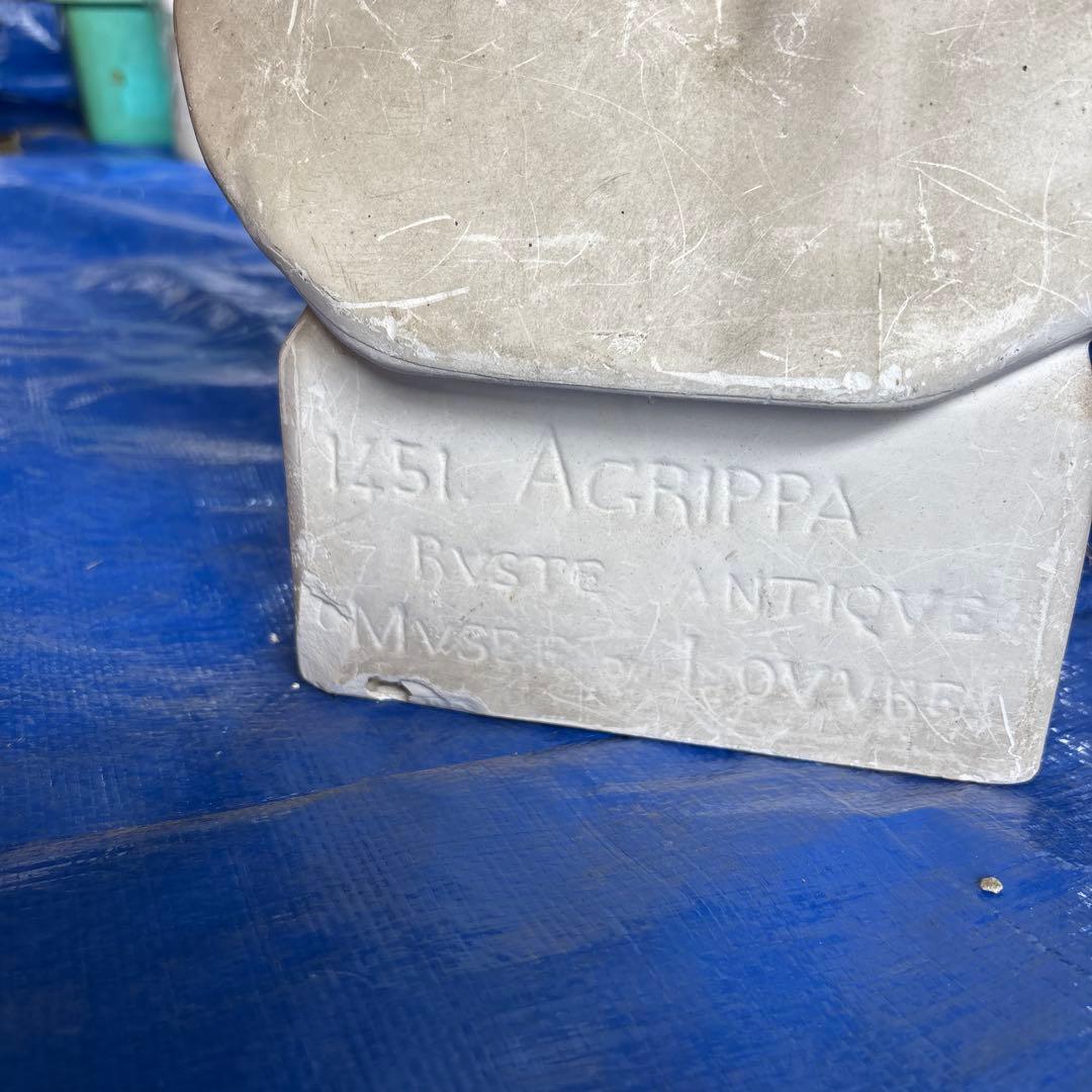 石膏像　アグリッパ　彫刻胸像