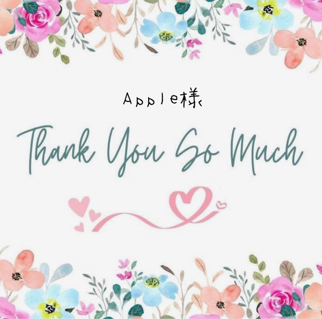 Apple様 リクエスト 2点 まとめ商品