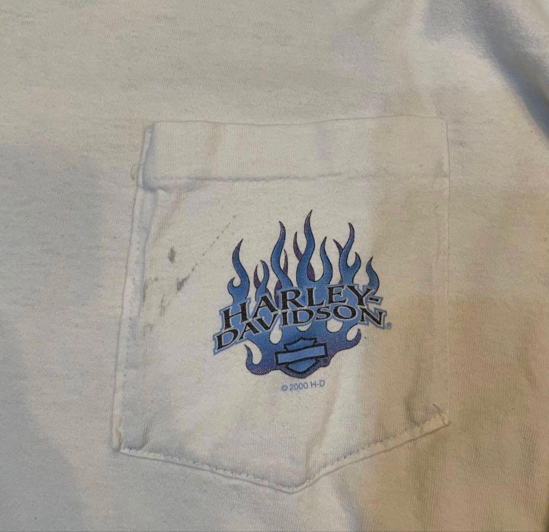 【激アツ】HARLEY DAVIDSON ロングスリーブtシャツ