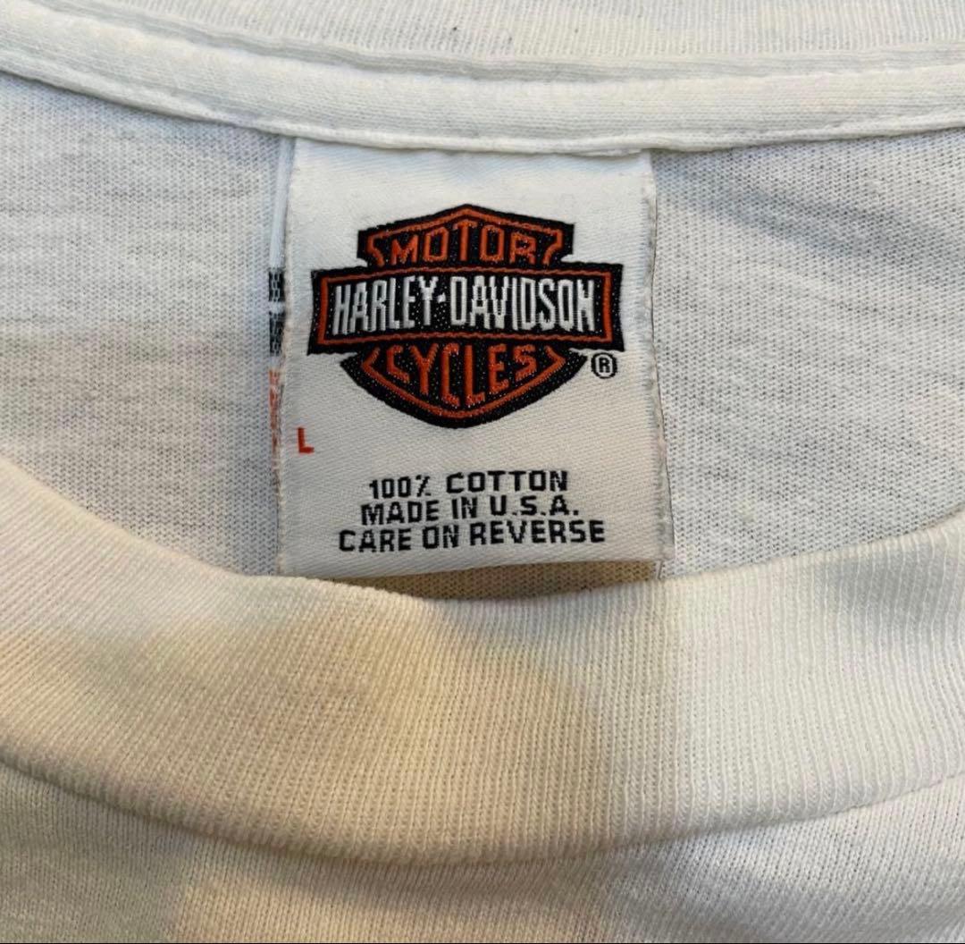 【激アツ】HARLEY DAVIDSON ロングスリーブtシャツ