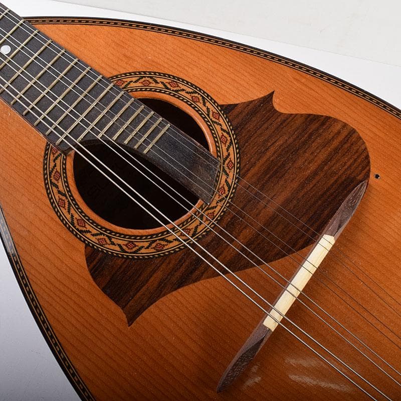 Rio　スズキ　マンドリン　鼈甲製ピック・ハードケース付　V　R7789C