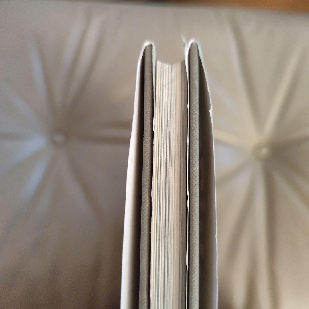 フォトグラフィング アーキテクチャ アンド インテリア/ジュリウス シェルマン