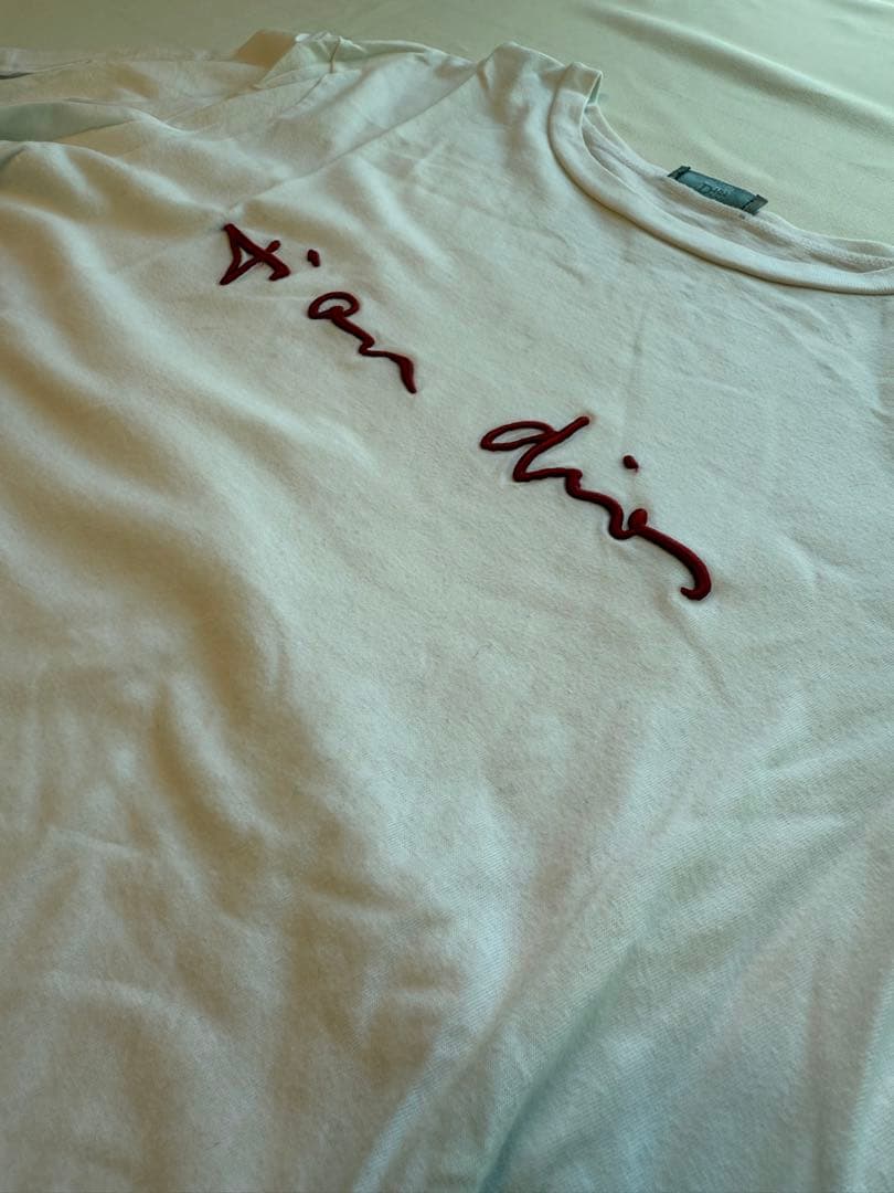 ブラピ　Dior ホワイト 刺繍Tシャツ　M ディオール